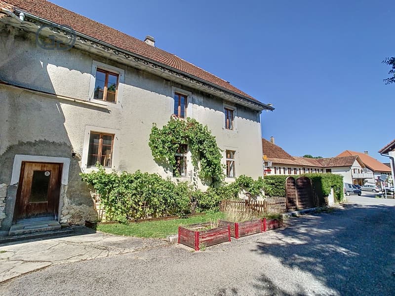 Combles à aménager à Bassecourt (2)
