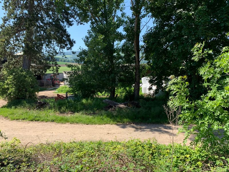 Terrain à bâtir en bordure de zone agricole (5)