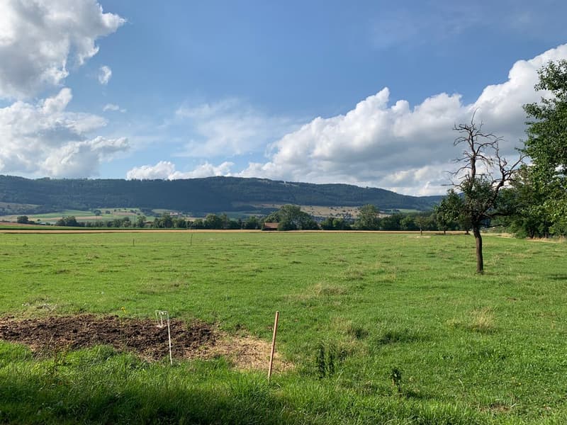 Terrain à bâtir en bordure de zone agricole (2)