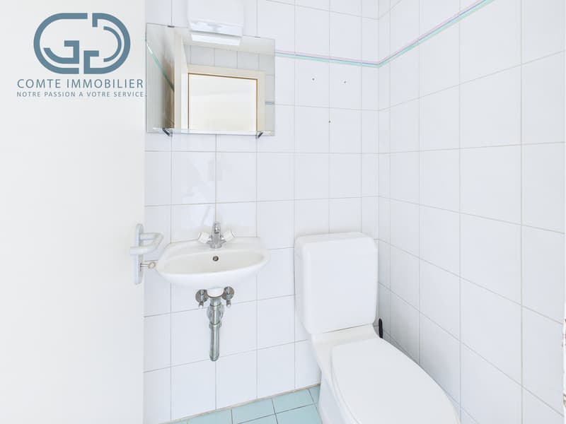 Splendide appartement au rez-de-chaussée (8)