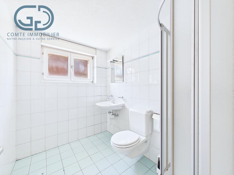 Splendide appartement au rez-de-chaussée (7)