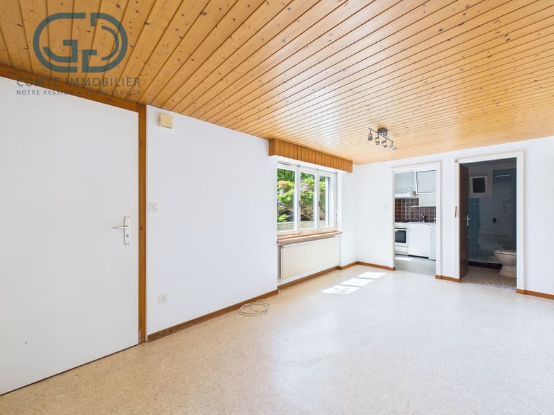 Salon appartement - Rez-de-chaussée