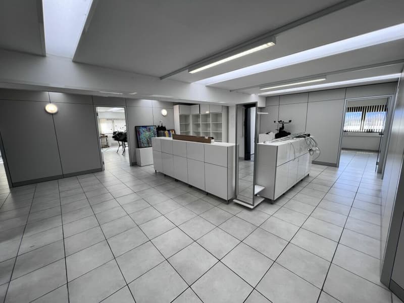 Superficie artigianale/industriale/uffici (frazionabile) (3)