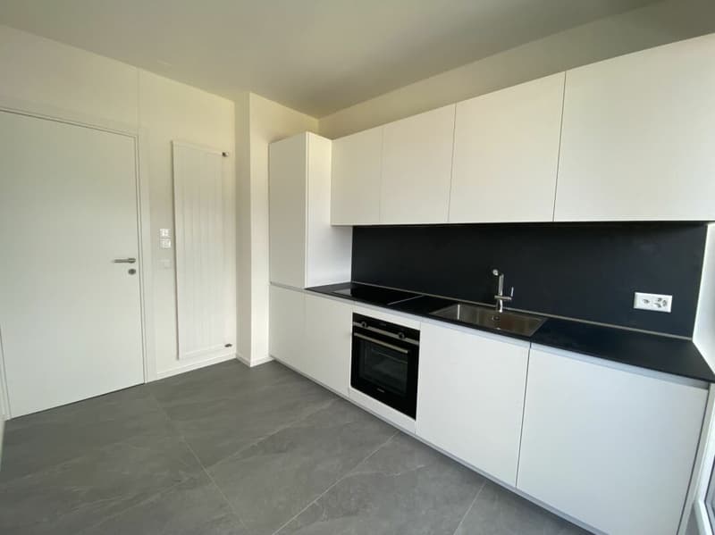 3.5 locali completamente ristrutturato (4)