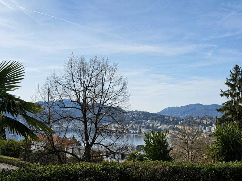 4.5 locali con vista lago e giardino (6)