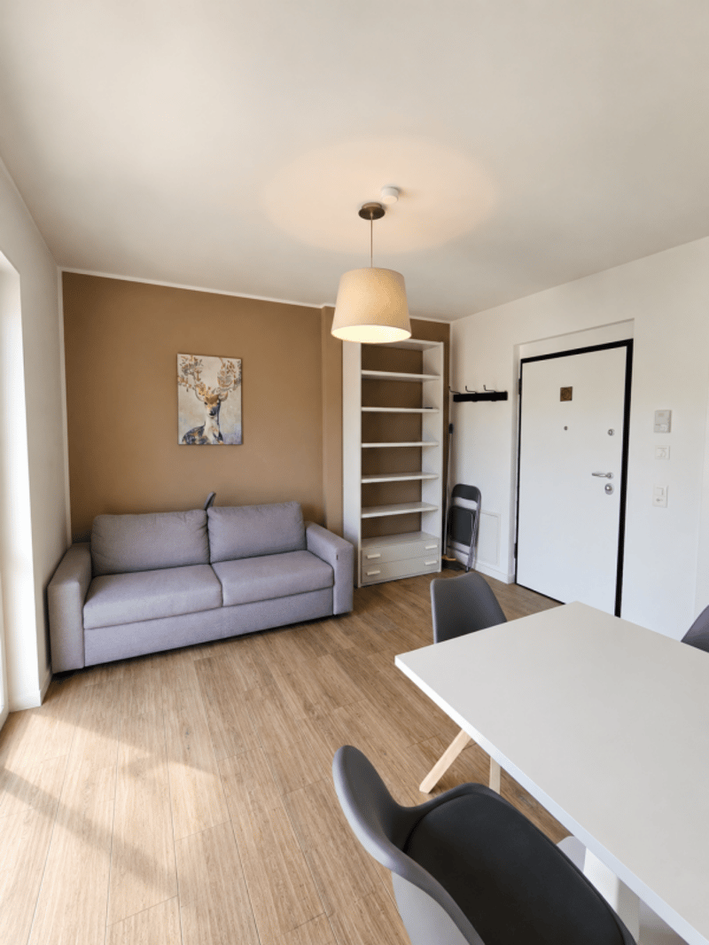 Moderno 2.5 locali con balcone (2)