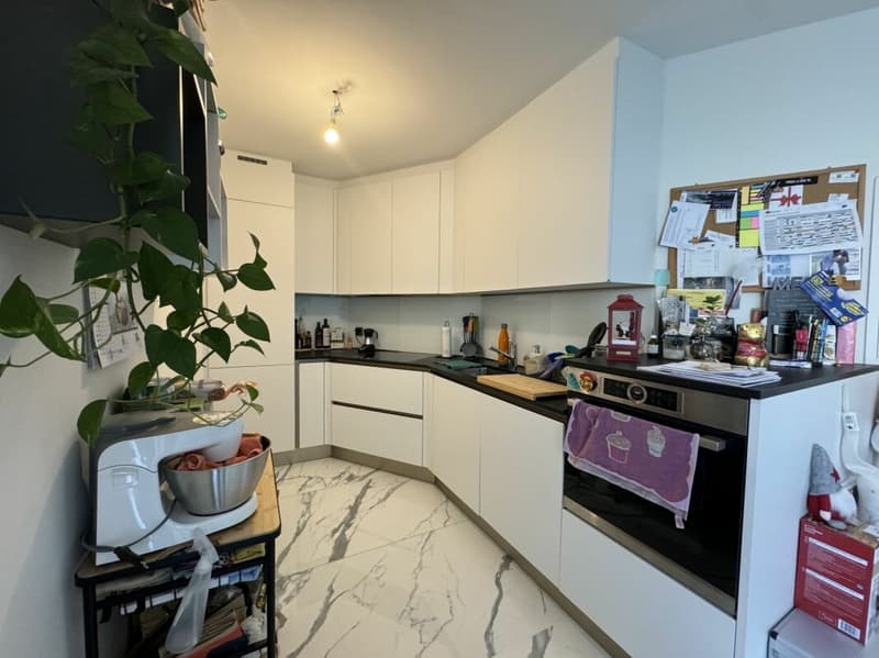 Spacious 2,5 room apartment (3)