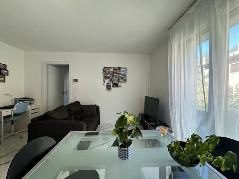 Spacious 2,5 room apartment (2)