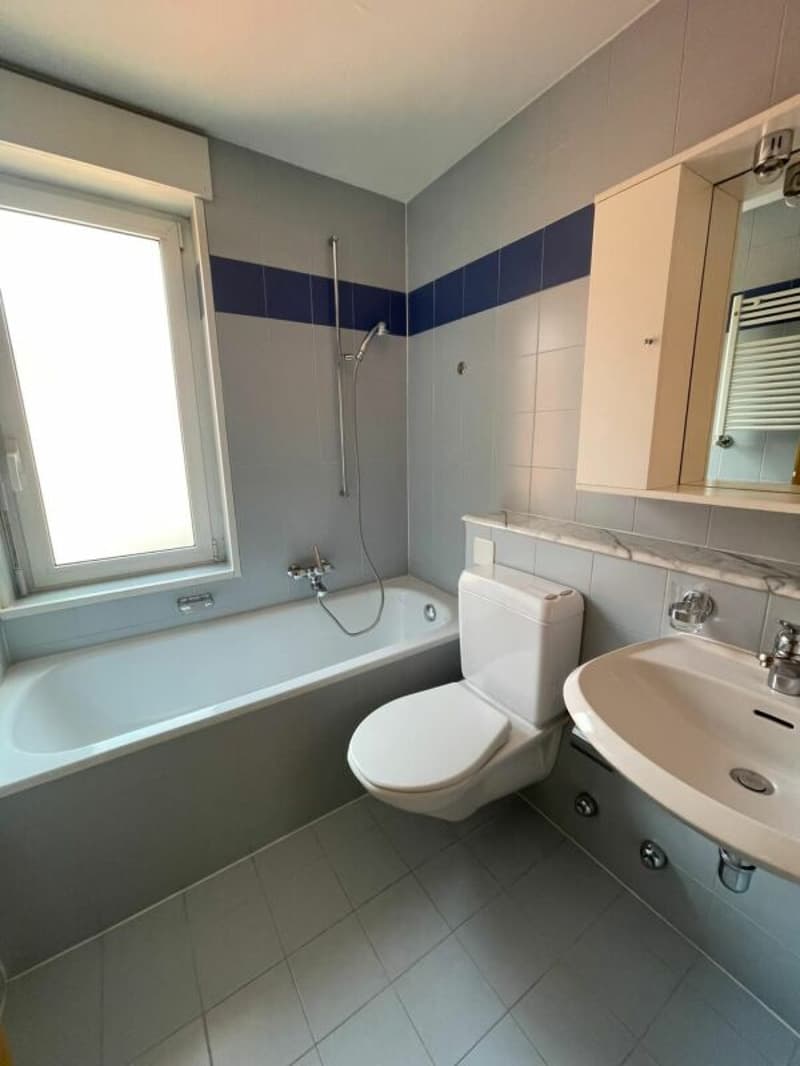 2.5 rooms (4)