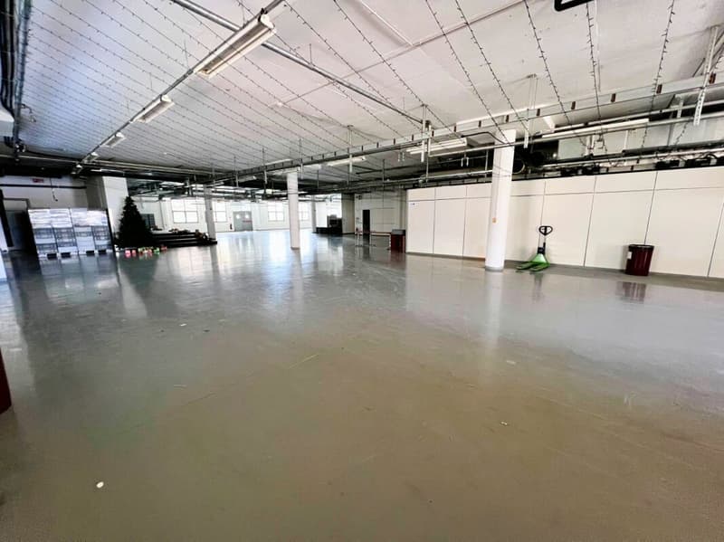 Superficie ad uso industriale/magazzino (3)