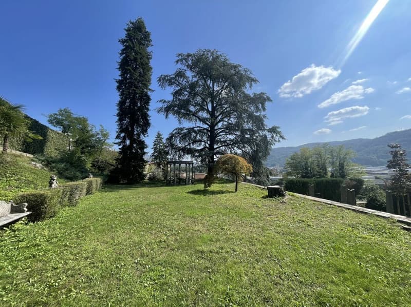 Stupenda Villa d'epoca ristrutturata con terreno edificabile (17)