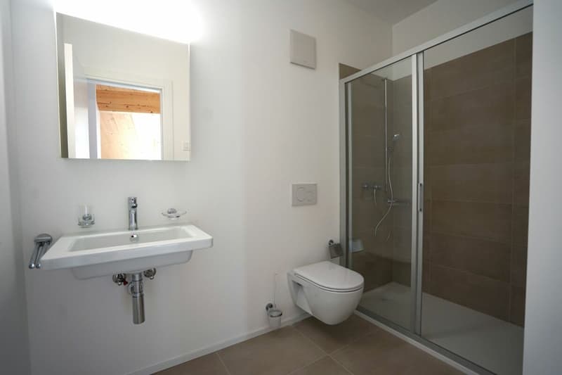 Beautiful and new 3.5-room penthouse. (5)