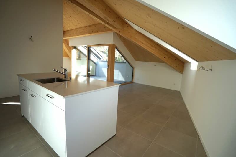 Beautiful and new 3.5-room penthouse. (6)