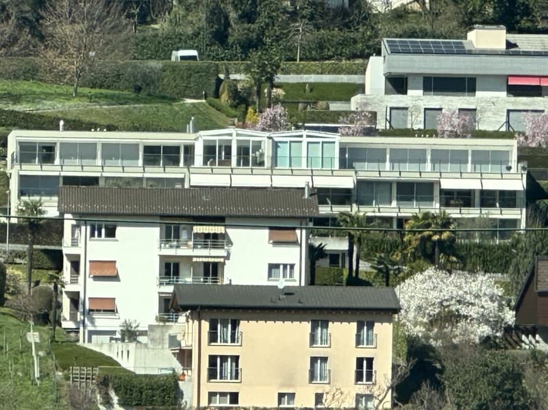 Meraviglioso 6 locali con grande terrazza (3)