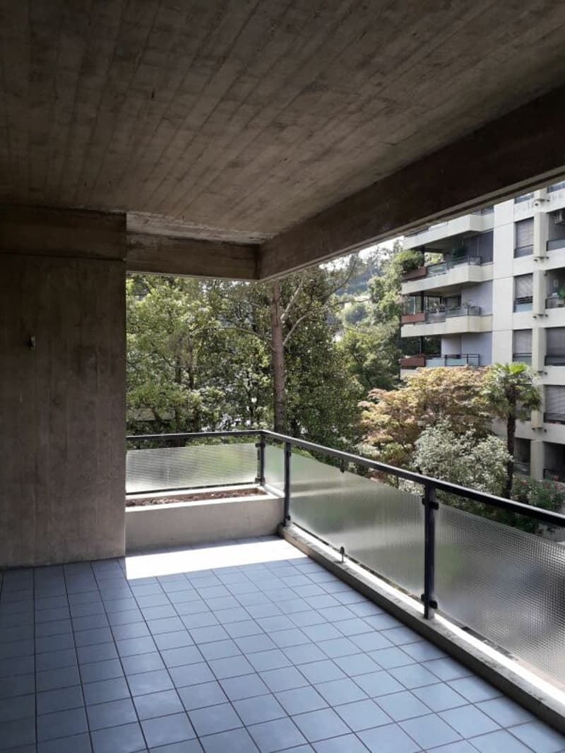 Luminoso 2.5 locali con balcone (4)