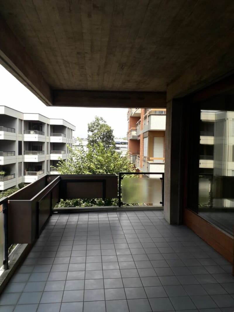 Luminoso 2.5 locali con balcone (5)