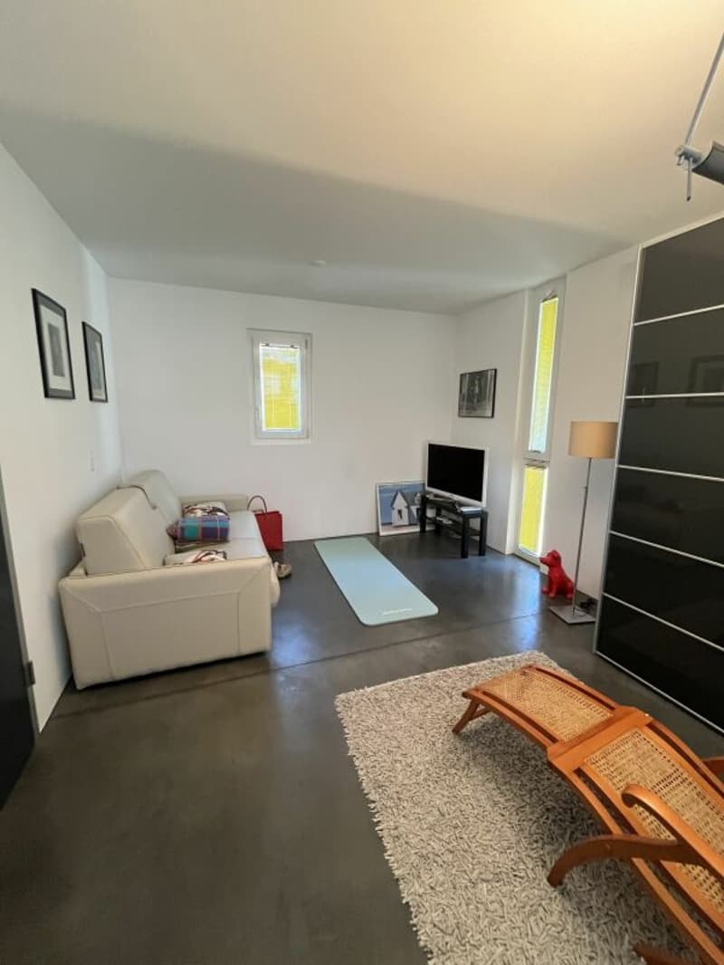 Modern and spacious house (7)
