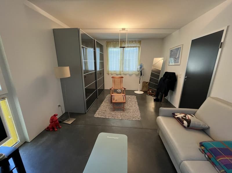 Modern and spacious house (6)