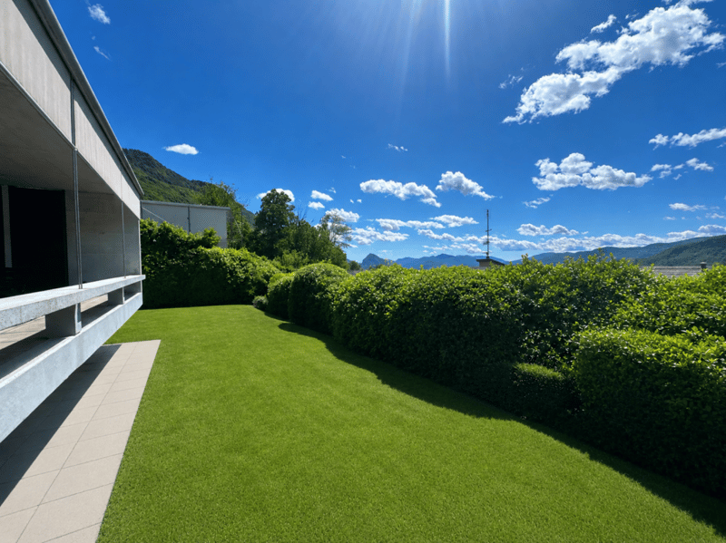 Beautiful Modern Villa Surrounded by Greenery (2)