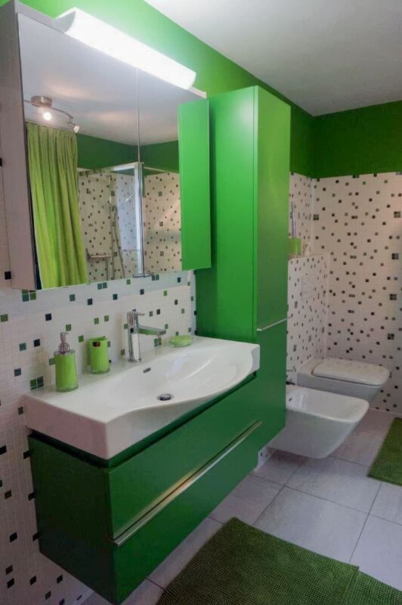 2.5 locali ammobiliato con splendido giardino (4)