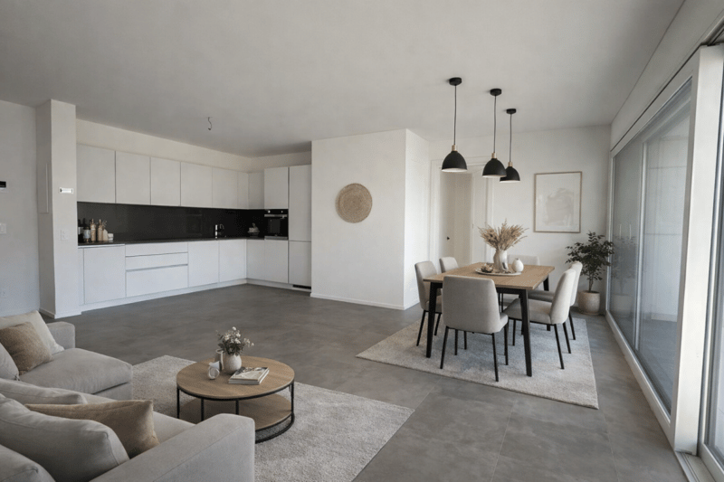 New 3.5-room apartments with terrace (1)