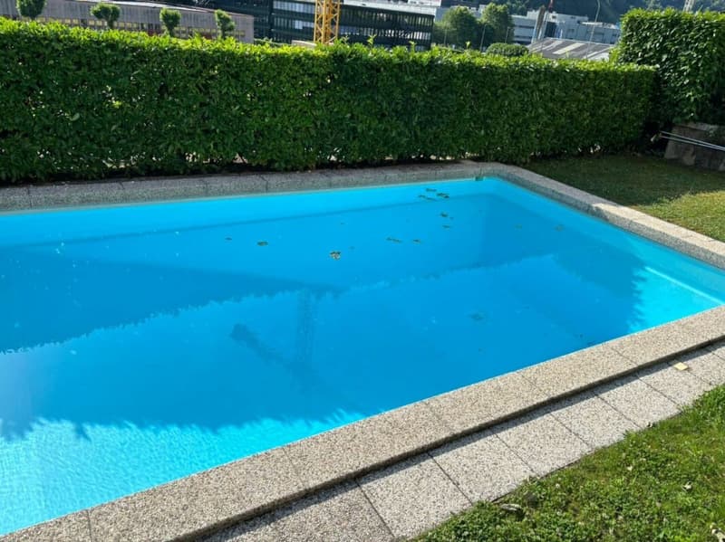 Splendido rustico antico con piscina condominiale (17)