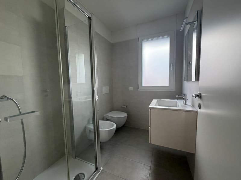 Spacious and modern 3.5 room apartments (3)