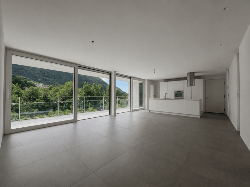 Appartamento con terrazza e splendida vista su Lugano e le montagne (1)