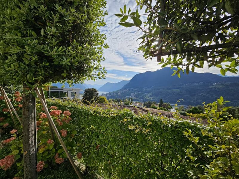 Raffinato monolocale con terrazza e giardino (3)