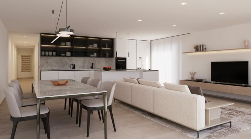 Nuova residenza 3,5 locali - 4,5 locali (2)
