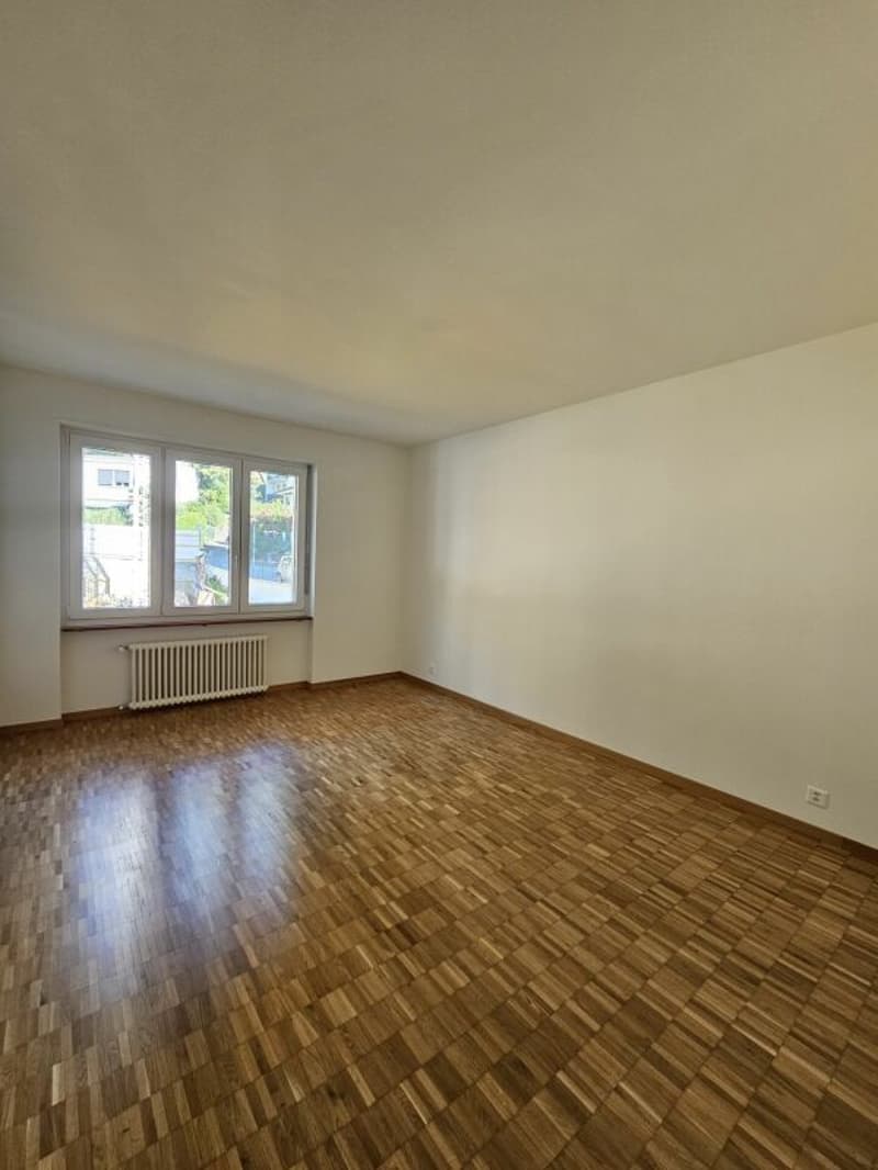 3.5 locali con vista lago e aria condizionata (6)