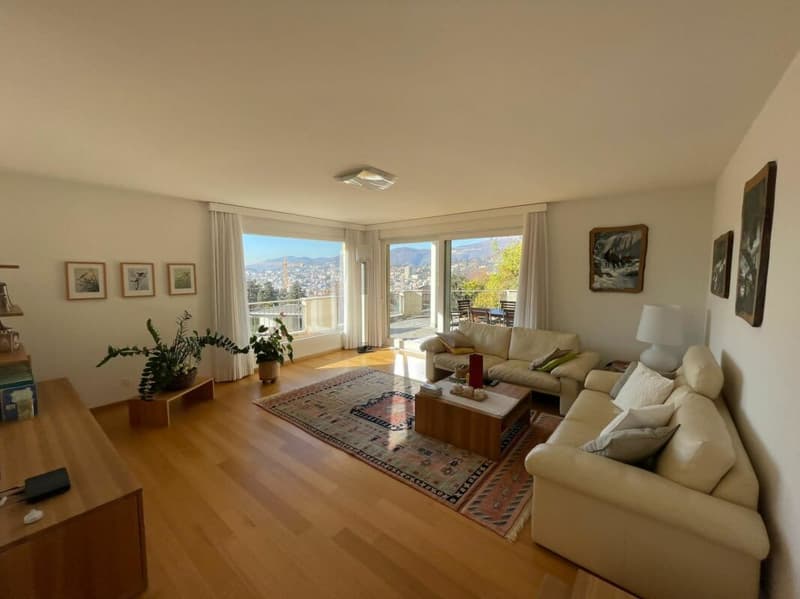 Interessante villa con giardino e vista lago (8)