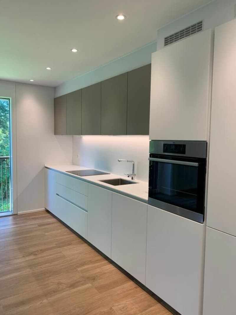 2.5 locali con vista lago (3)