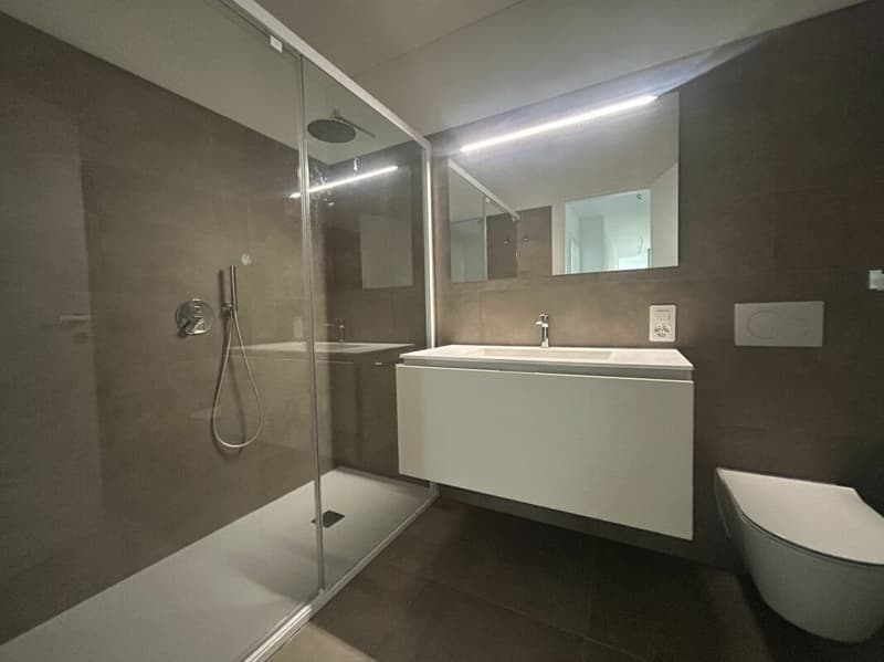 Ultimo appartamento 4,5 locali con grande terrazza (5)