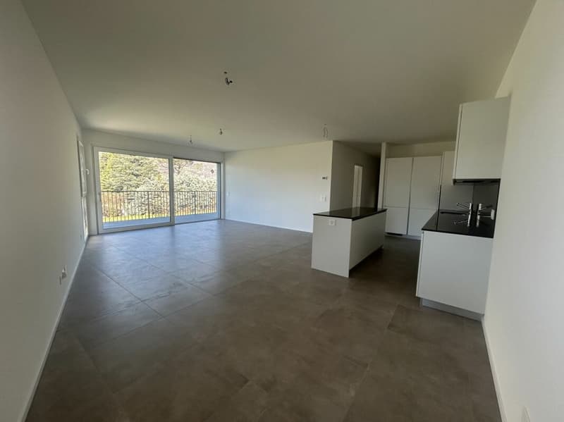 Ultimo appartamento 4,5 locali con grande terrazza (3)