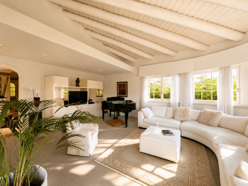 Esclusiva villa unifamiliare con ampio giardino e piscina (3)