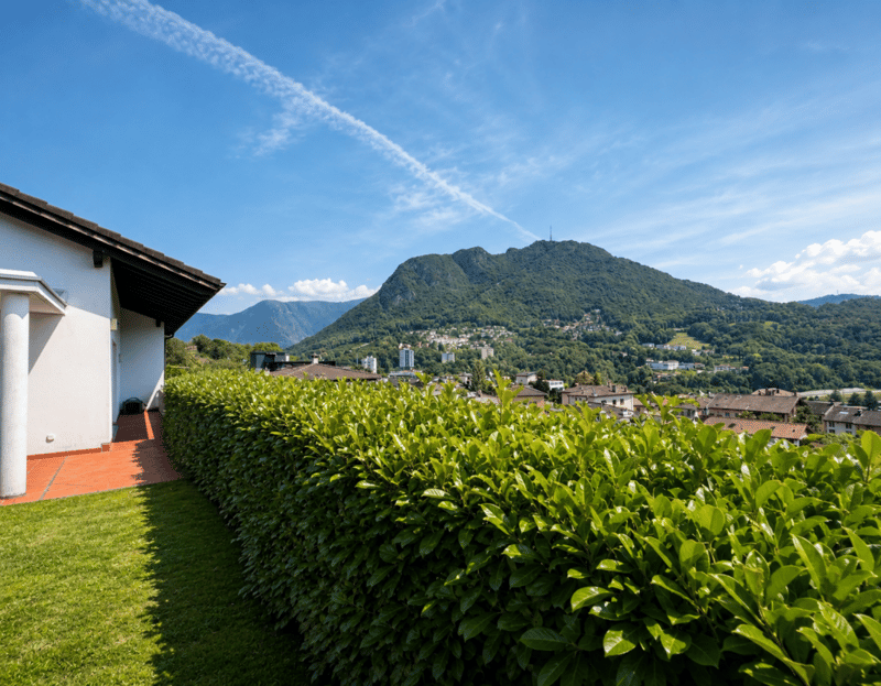 Villa unifamiliare con grande giardino (1)