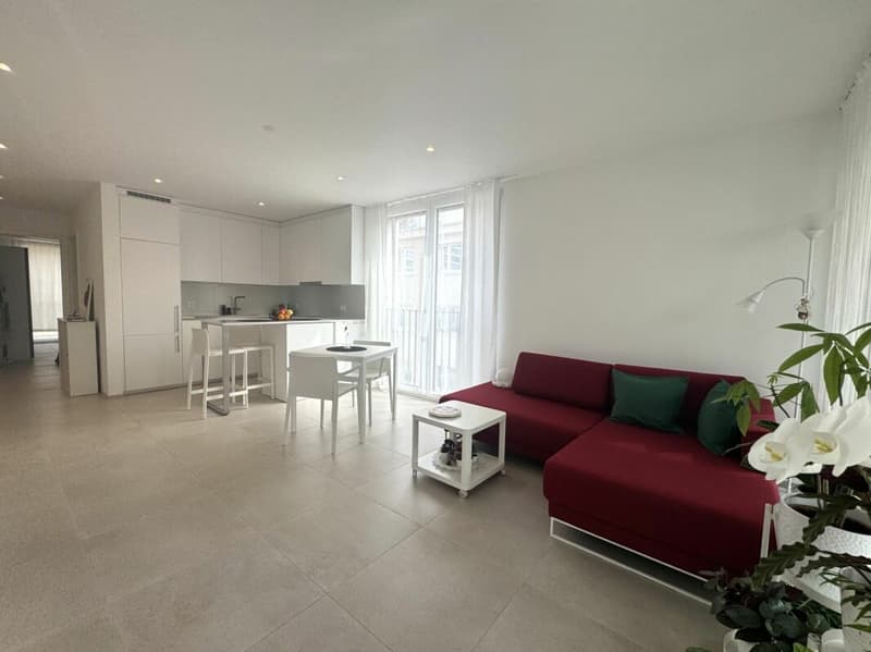 Splendido 2.5 locali, ammobiliato e disponibile anche come residenza secondaria (4)