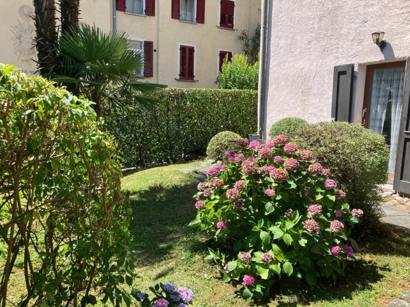 Splendido rustico antico con piscina condominiale (2)