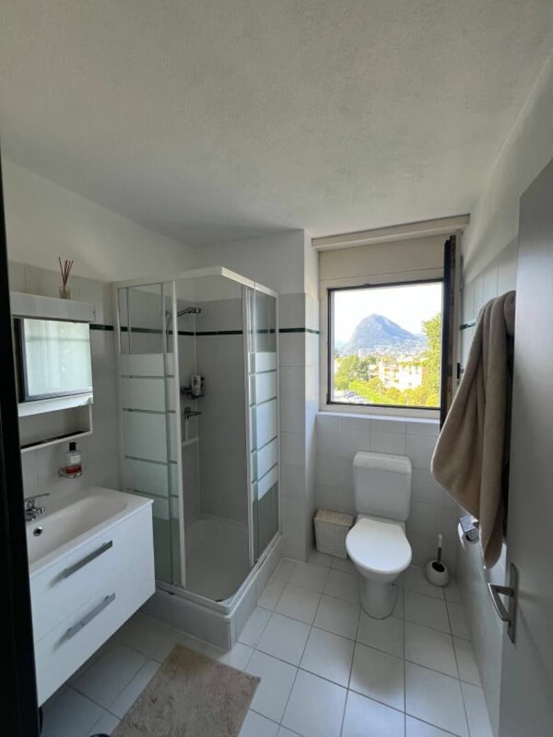 Attico 3.5 locali vista lago, terrazza e 2 parcheggi (9)
