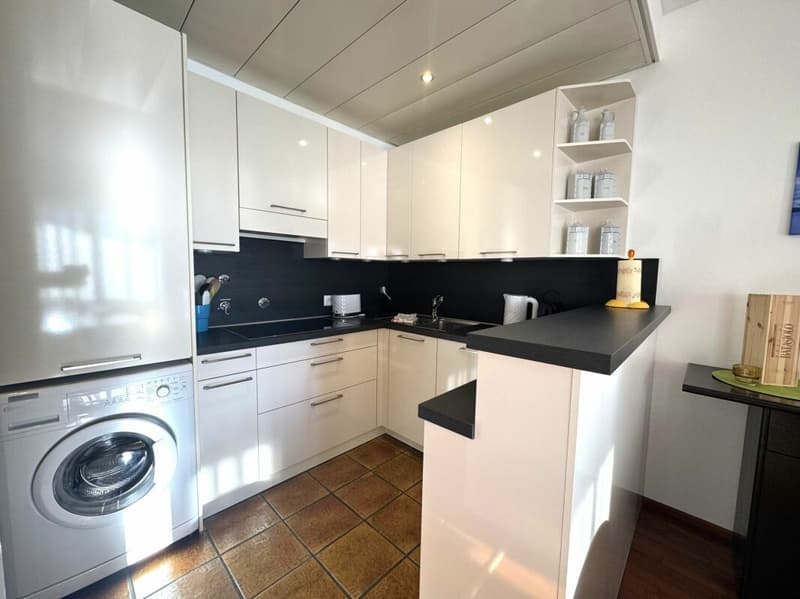 Stupendo 3,5 locali ammobiliato con vista lago (4)