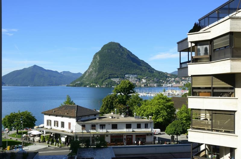Stupendo 3,5 locali ammobiliato con vista lago (8)