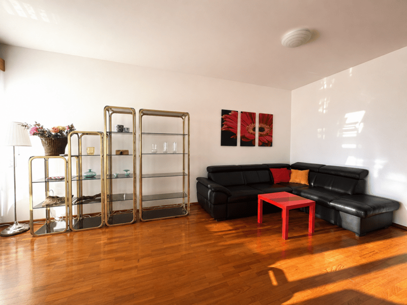 Stupendo 3,5 locali ammobiliato con vista lago (2)