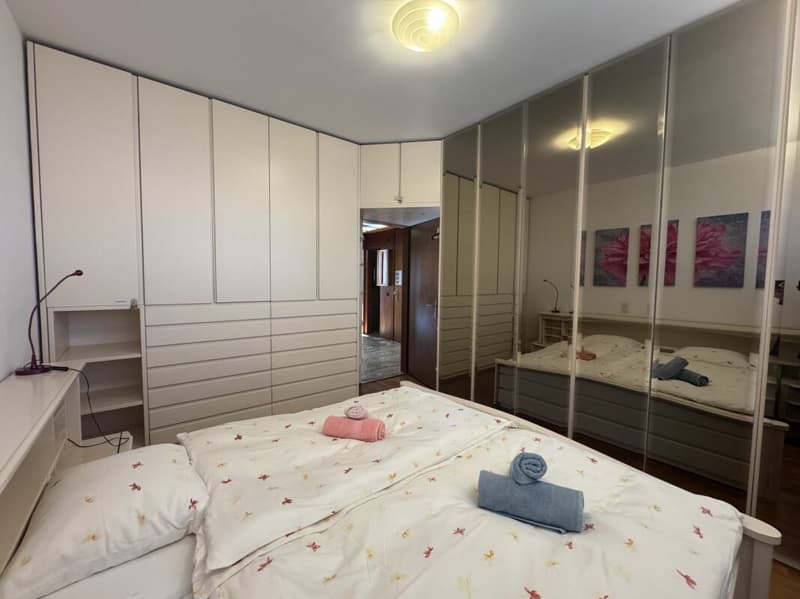 Stupendo 3,5 locali ammobiliato con vista lago (5)