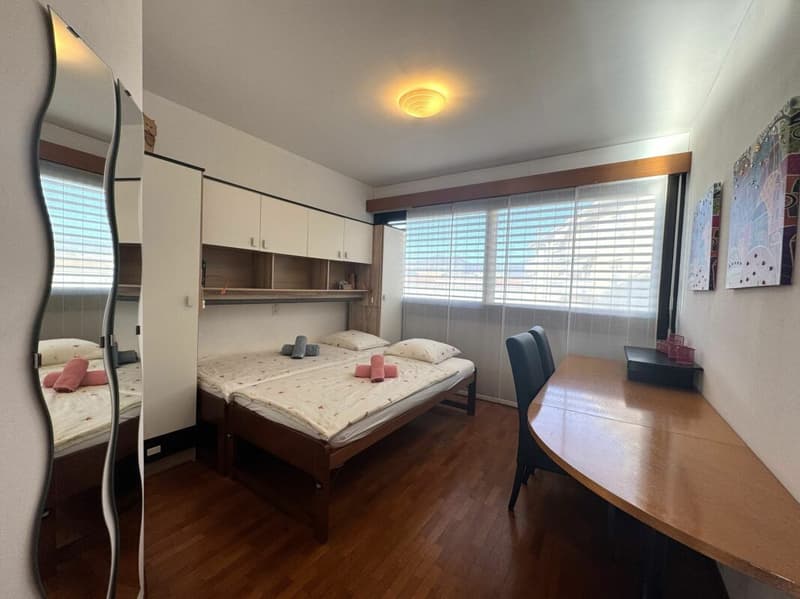 Stupendo 3,5 locali ammobiliato con vista lago (6)