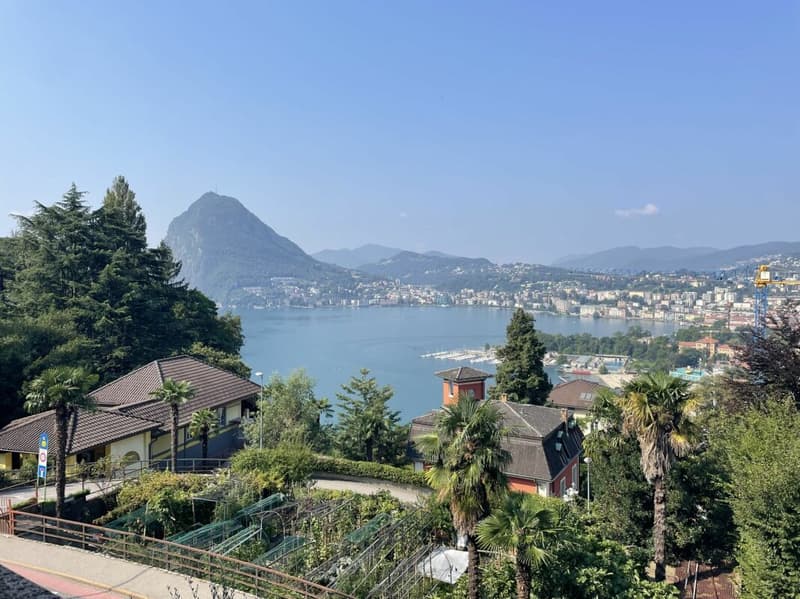 Elegante 3.5 locali con vista lago (4)