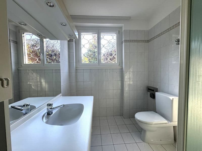 Casa unifamiliare a pochi passi dal lago (6)