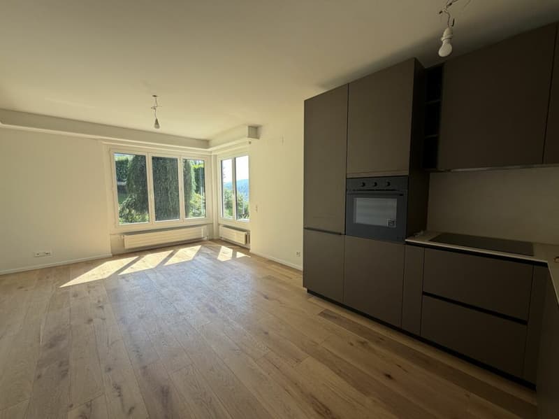 3.5 locali ristrutturato con bellissima vista (5)