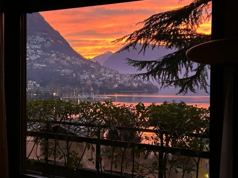 Splendido 3,5 in centro città con vista lago (5)