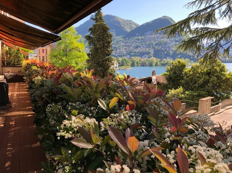 Splendido 3,5 in centro città con vista lago (4)